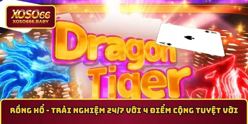 rồng hổ