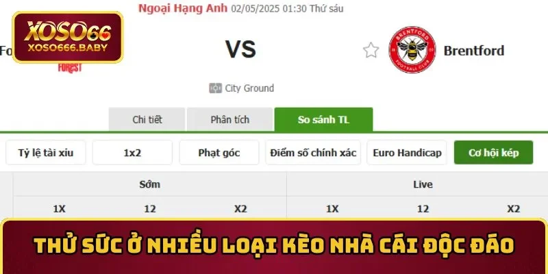 Thử sức ở nhiều loại kèo nhà cái độc đáo